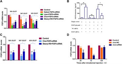 Suppression of FGF5 and FGF18 Expression by Cholesterol-Modified siRNAs Promotes Hair Growth in Mice